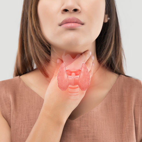 Dra. Vanessa Rocha (500 × 500 px) (1).png