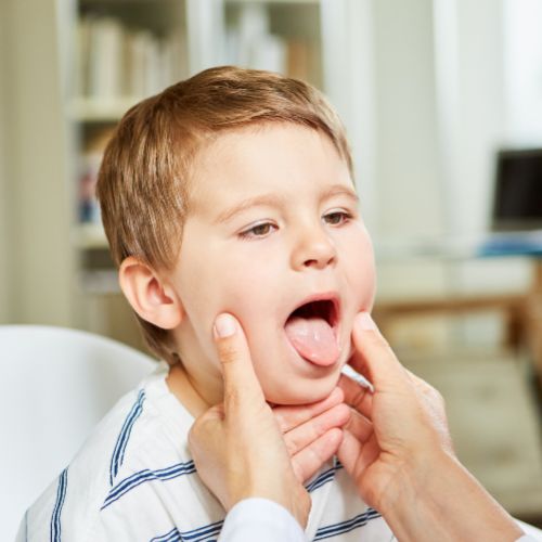 Dra. Vanessa Rocha (500 × 500 px).jpg